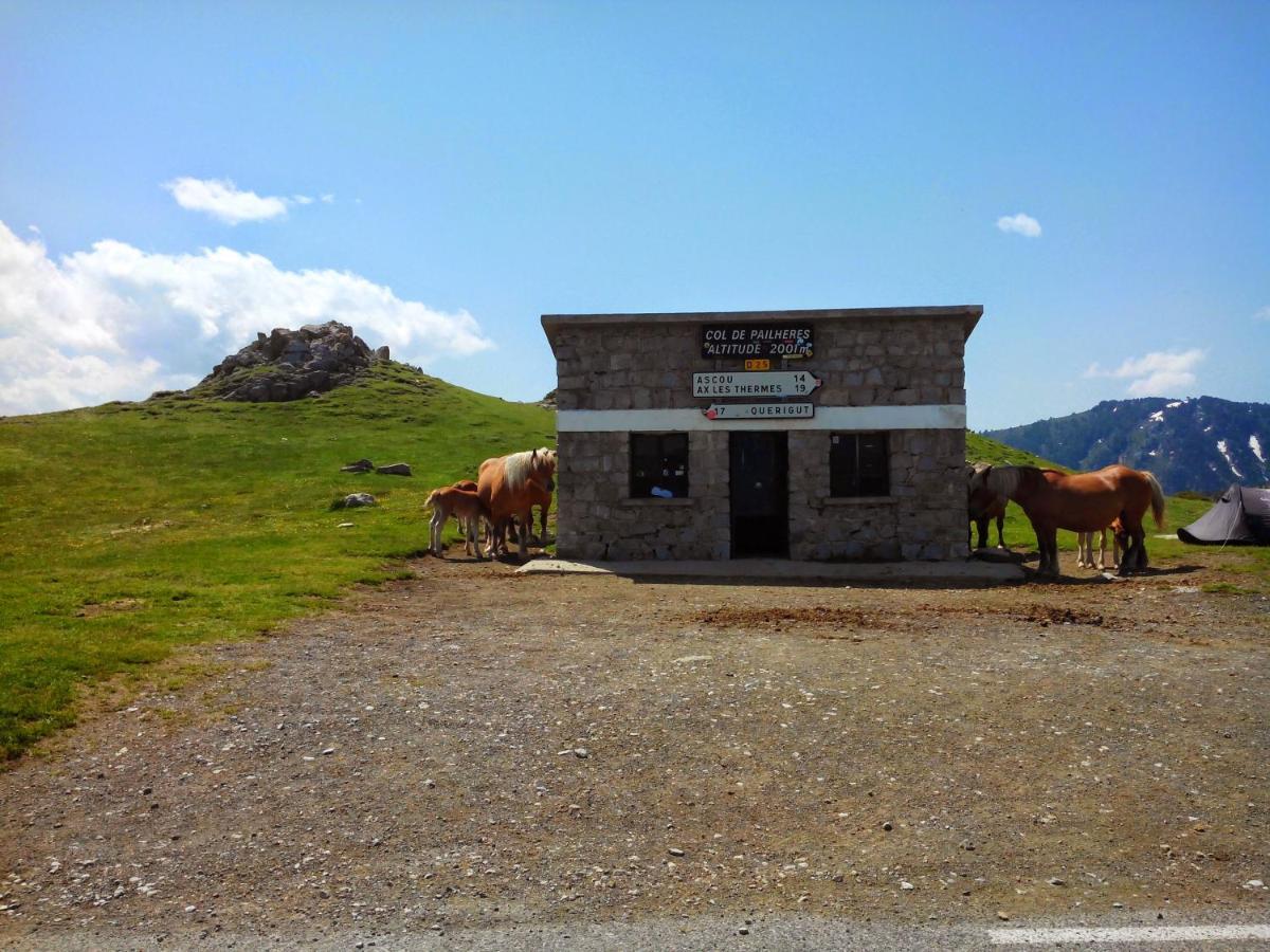 Gite Chaleureux Au Coeur Du Village Roquetaillade Εξωτερικό φωτογραφία